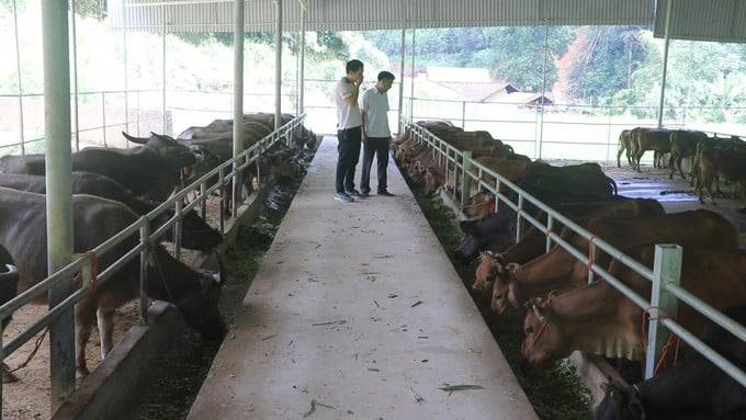 3 xã hợp nhất thành xã mới nào ở tỉnh Thái Nguyên (địa phận tỉnh Bắc Kạn trước đây), dân đang giàu lên nhờ nghề này 