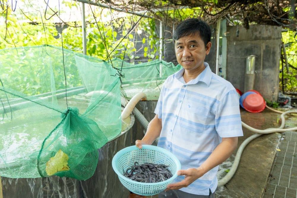 Nuôi loài cá là "vua" của các loài cá da trơn, anh nông dân Tây Ninh có bí quyết gì mà thu tiền to?