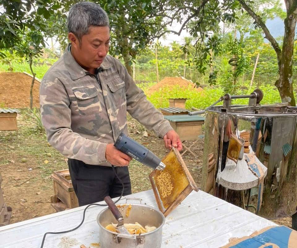 Hội viên nông dân làm giàu từ nghề nuôi ong lấy mật