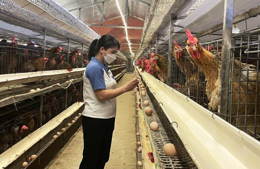 Đất mỏ Quảng Ninh tập trung tạo thương hiệu thực phẩm an toàn