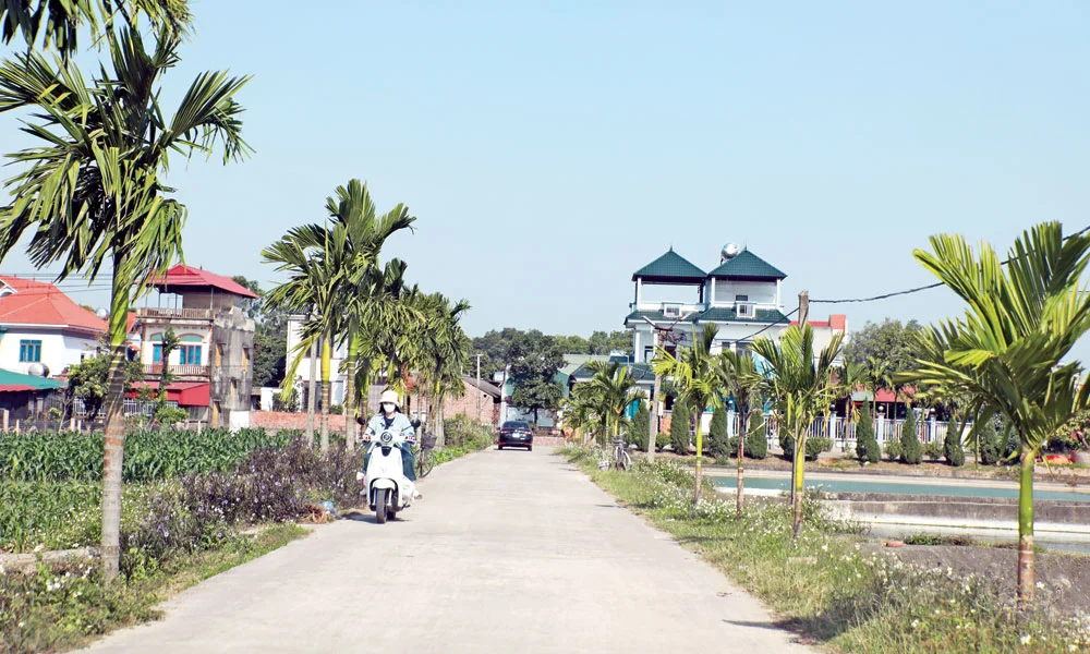 Chi tiết kết luận mới nhất của Ban Bí thư về sáp nhập, sắp xếp thôn, tổ dân phố 