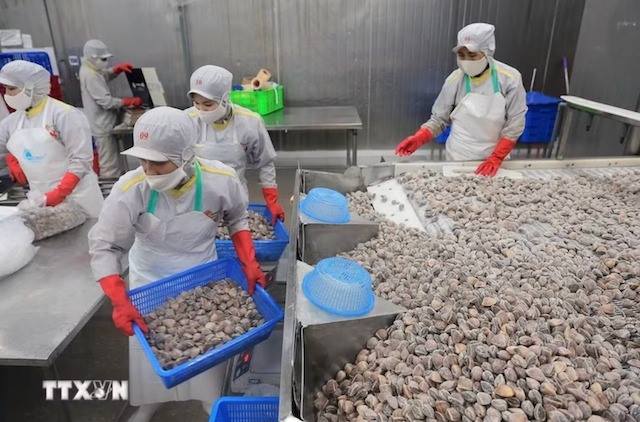 Củng cố nguồn nguyên liệu, hướng tới xuất khẩu thủy sản 12 tỷ USD