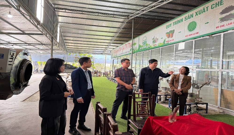 Phát huy giá trị nhãn hiệu tập thể “Chè Thái Nguyên” gắn với đẩy mạnh công tác sở hữu trí tuệ phục vụ phát triển kinh tế - xã hội trong tình hình mới