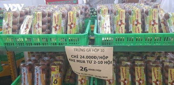 Nghịch lý giá trứng: Trại nuôi lỗ nặng, chợ vẫn bán giá cao