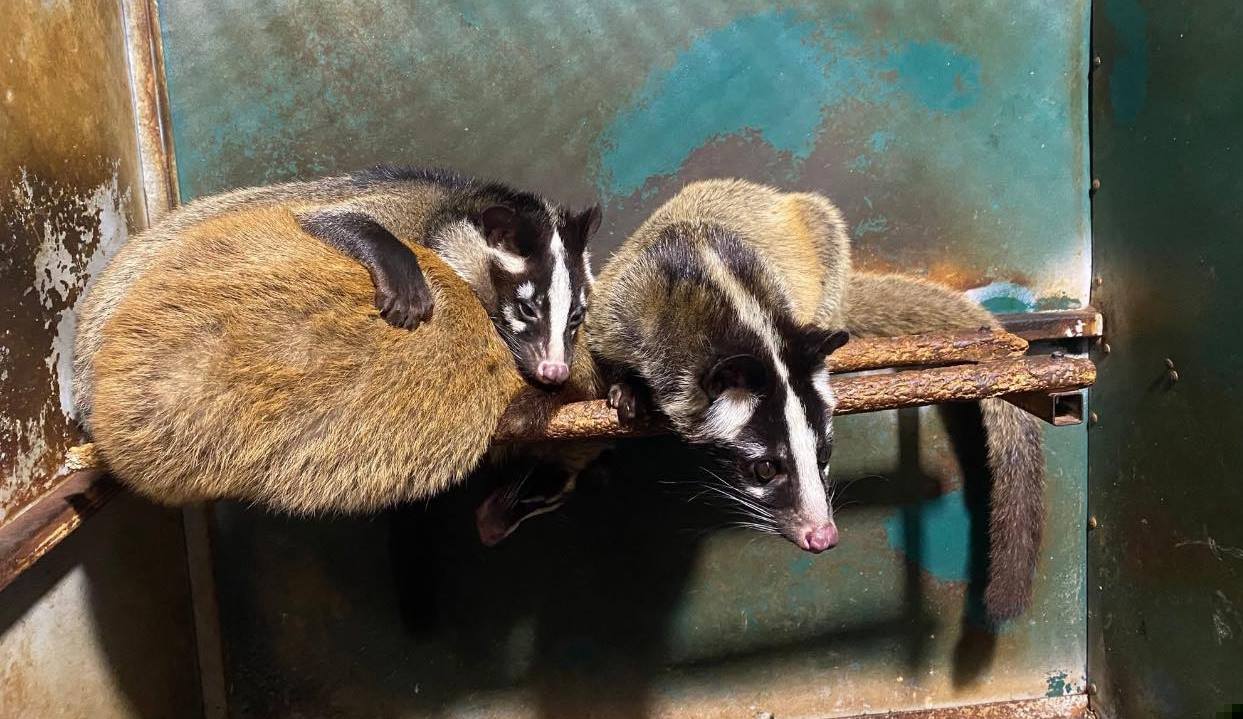 Khởi nghiệp từ con đặc sản