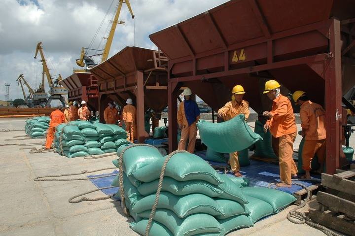 Tạo hành lang pháp lý thuận lợi nhất cho hoạt động xuất khẩu gạo