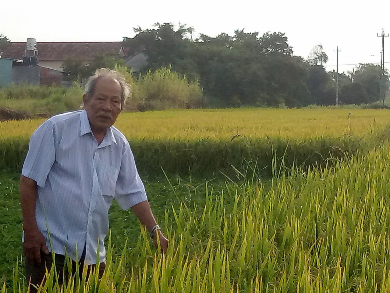 Gia Lai: Gương cán bộ Hội Nông dân điển hình tiên tiến 