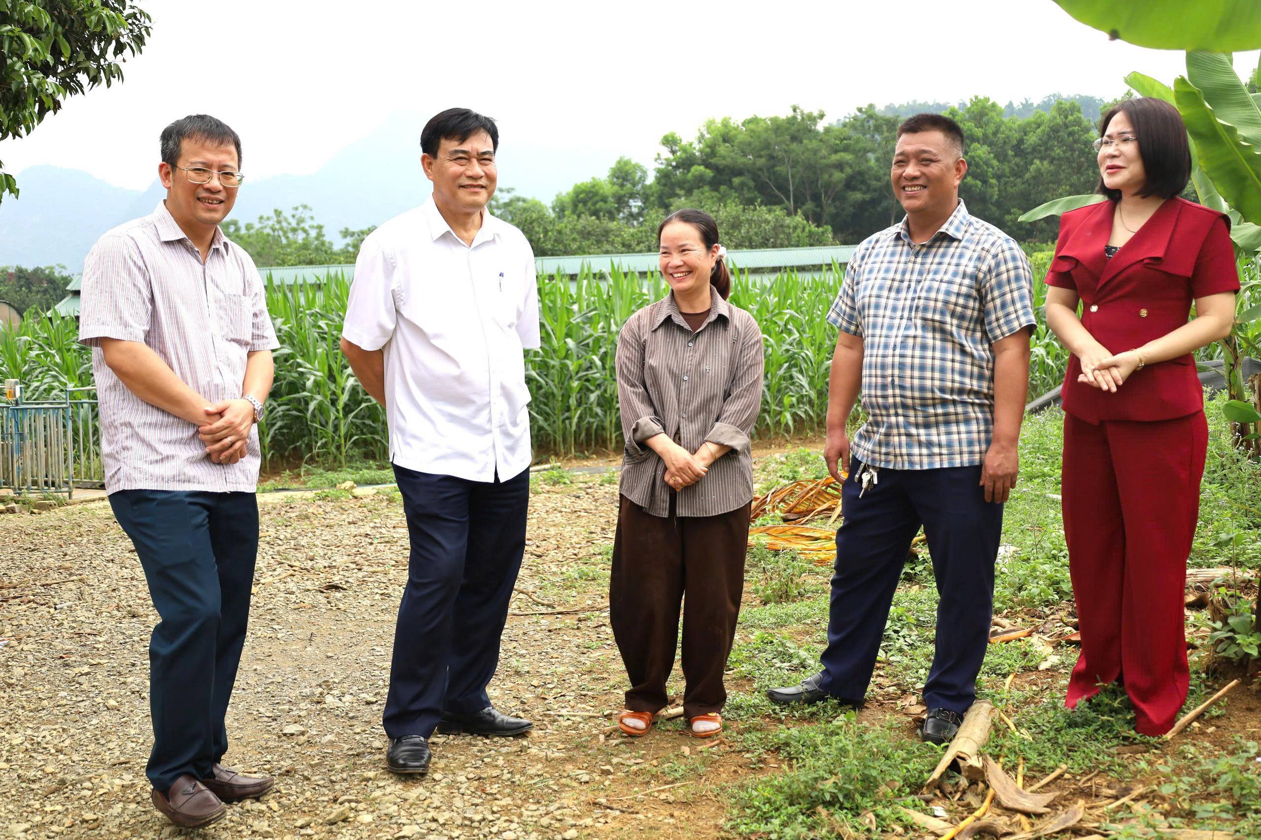 Nông dân xã miền núi Thanh Hóa hướng về Đại hội đại biểu toàn quốc Hội Nông dân Việt Nam lần thứ IX với những việc làm thiết thực