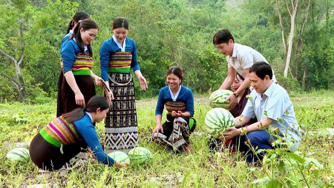 Thay đổi tư duy trong sản xuất nông nghiệp, người dân Quang Chiểu ‘biến đất cằn’ thành quả ngọt