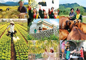Nghị quyết giảm nghèo bền vững: Kết quả sau 6 năm