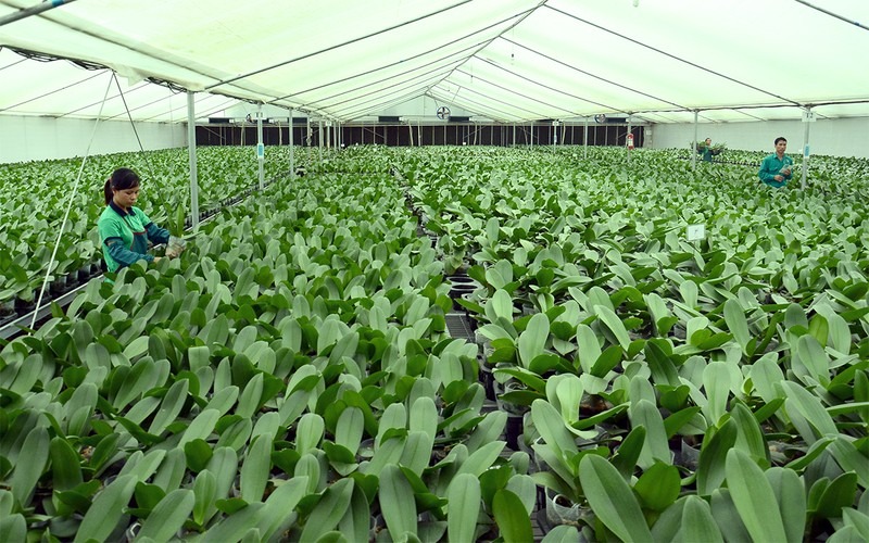 Giữ vững vị thế trong xây dựng nông thôn mới