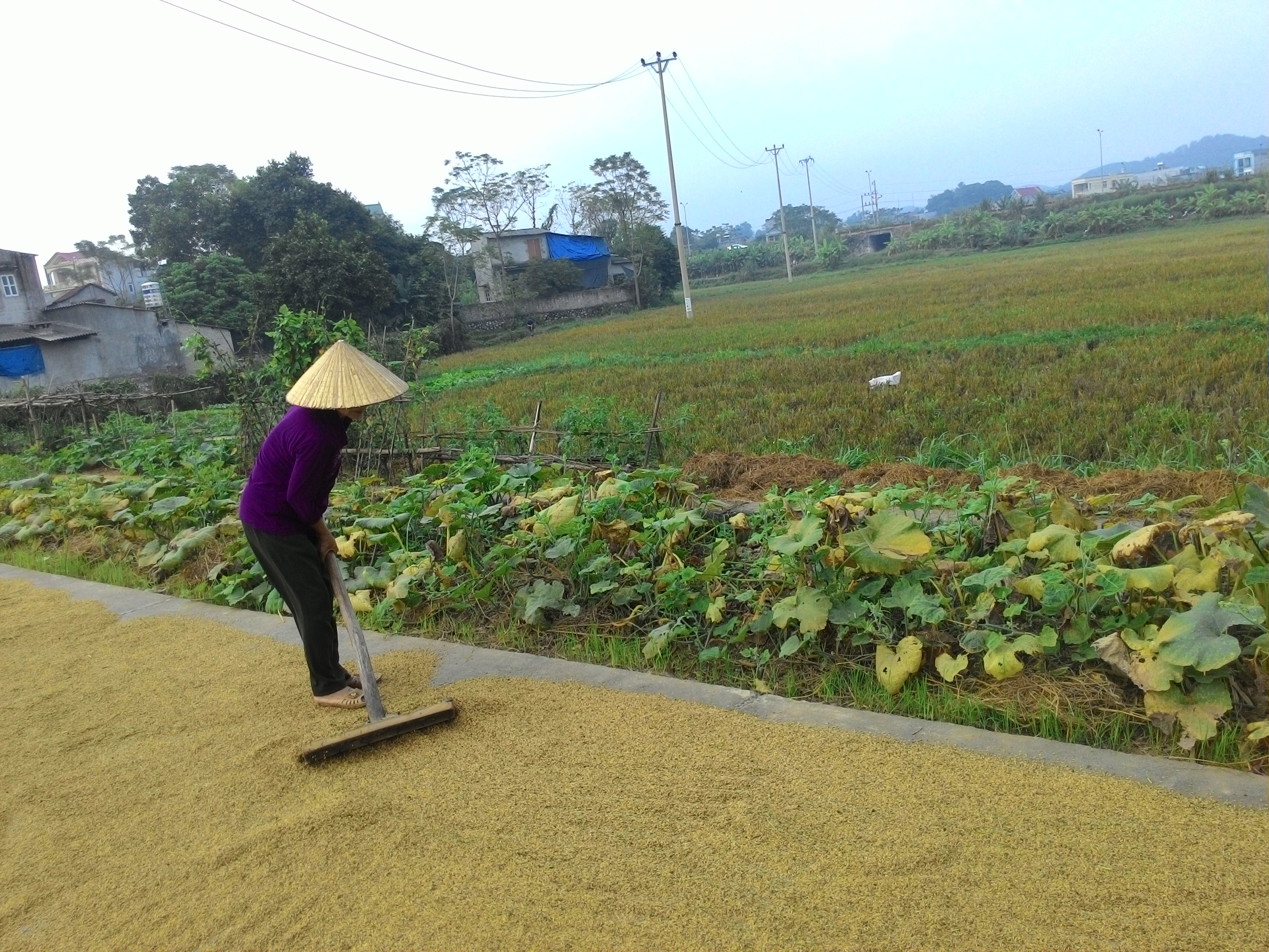 Bảo vệ môi trường: Cần sự chung tay của cộng đồng