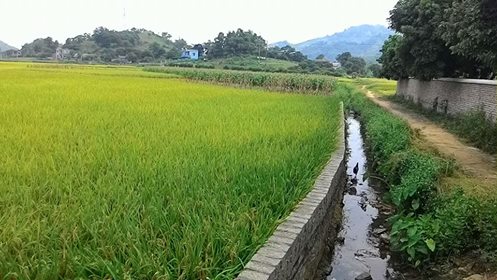 Hội ND các cấp tích cực  phối hợp bảo vệ môi trường nông thôn