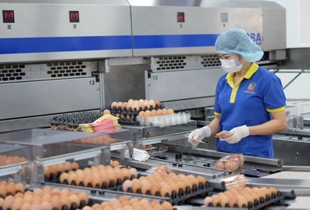 Sản xuất thực phẩm sạch, từ chủ trương đến thực hiện