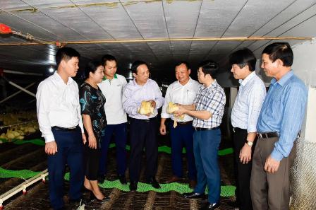 Nghệ An: Tăng cường hỗ trợ vốn cho hội viên, nông dân