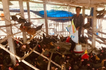 Phù Cát (Bình Định): Tổng kết 10 năm thực hiện Chỉ thị số 40-CT/TW của Ban Bí thư