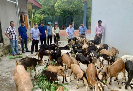 Giải pháp hỗ trợ vốn cho nông dân phát triển sản xuất, kinh doanh
