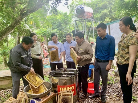 Nâng cao hiệu quả hoạt động tín dụng thúc đẩy “Tam Nông” phát triển bền vững