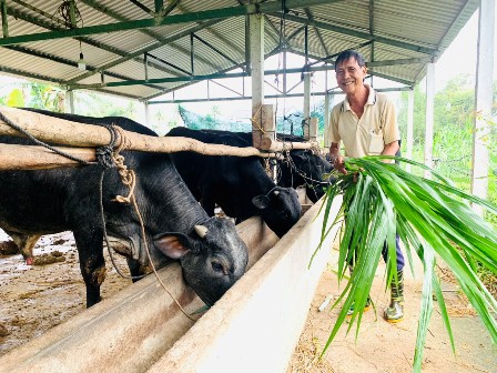 Quảng Nam: 27 năm phát huy tốt hiệu quả nguồn vốn Quỹ HTND