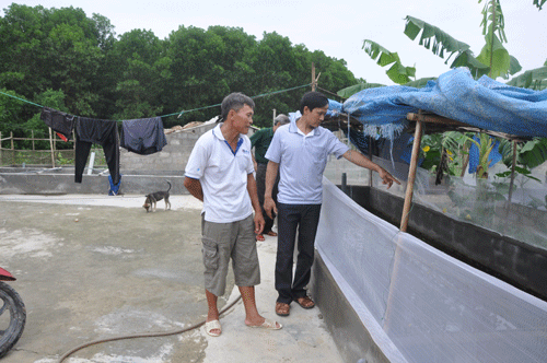 Huyện Như Thanh sử dụng hiệu quả các nguồn vốn hỗ trợ nông dân