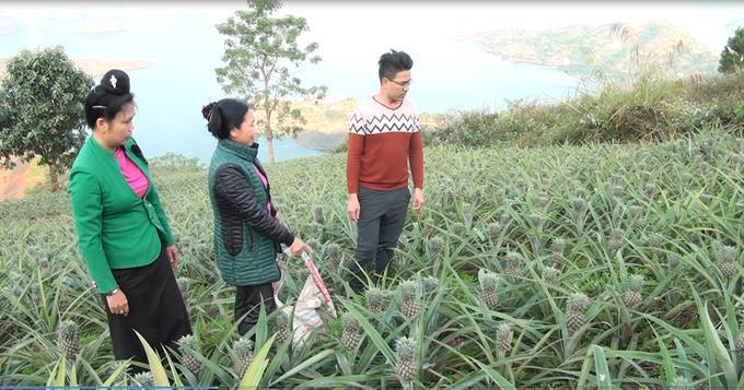 How to help farmers in mountainous areas eradicate poverty
