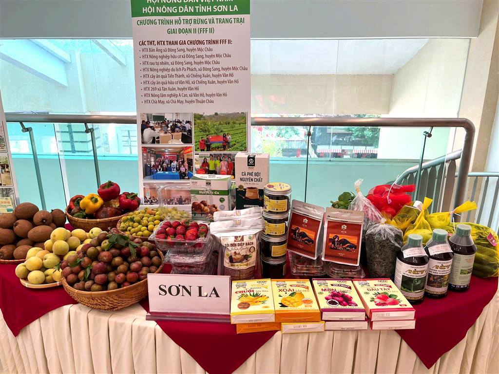 Positive outcomes from implementing the FFF II Program 