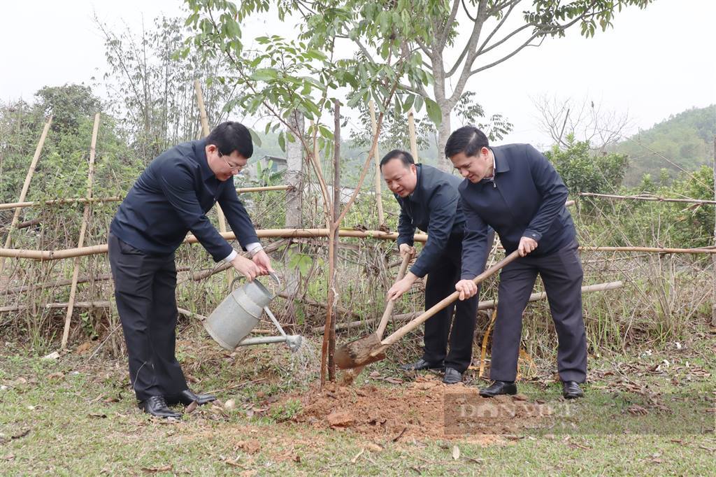 Vice-Chairman of Vietnam Farmers’ Union Pham Tien Nam attends the launching ceremony of the “Tree Planting Festival” in Hoa Binh