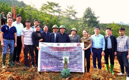 Yen Bai Province - FFF Phase II Program: Organize many activities to build capacity for forest planting households
