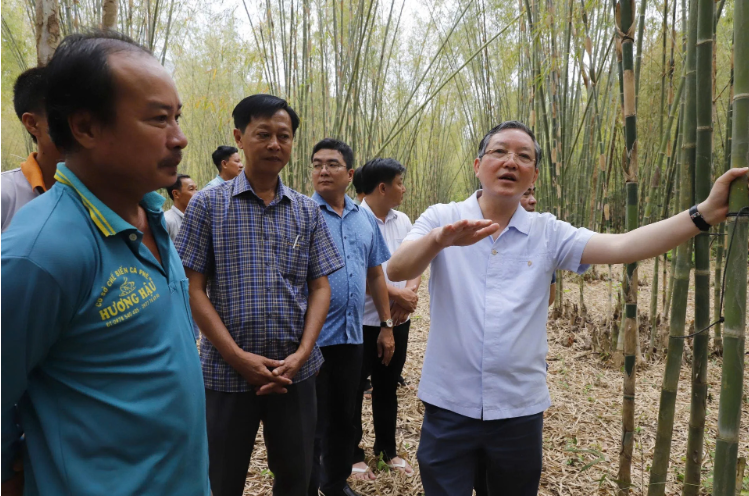Ahead of the 9th National Congress of the Vietnam Farmers’ Union: A Major Boost from 6,000 Cooperatives and Cooperative Groups Inspiring Farmers to “Think Big, Act Big” (Part 4)