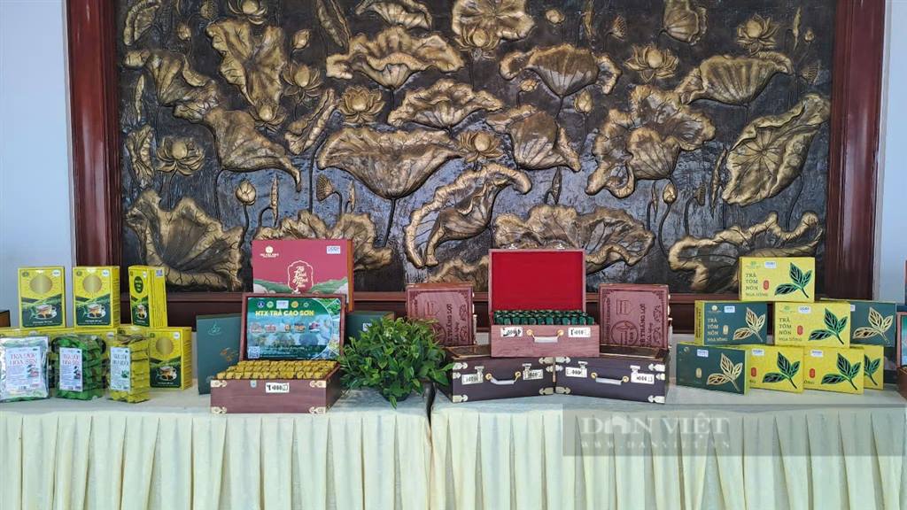 Thai Nguyen exchanges knowledge about tea culture, enhances tea tree value and tea tasting art