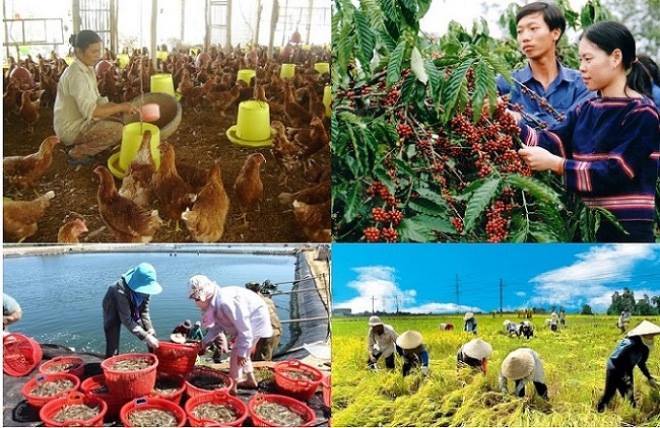 Nam Dinh province: Farmers at all levels effectively implement the movement "Farmers compete in best production and business, unite to help each other get rich and sustainably reduce poverty"