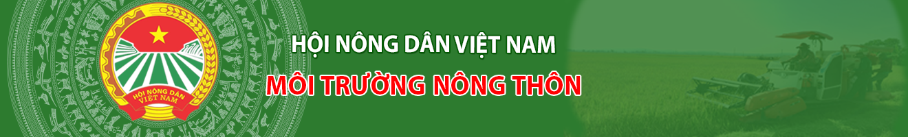 image banner