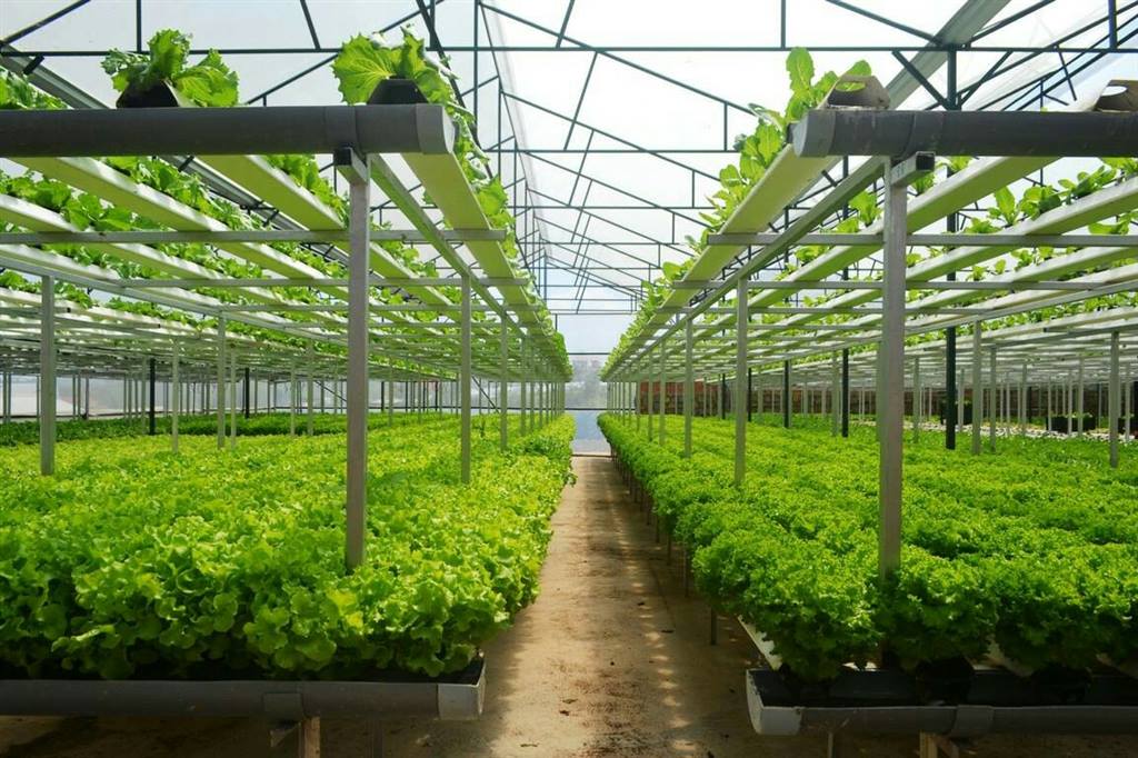 Quỹ HTND Thành phố Hồ Chí Minh góp phần phát triển kinh tế xã hội tại địa phương