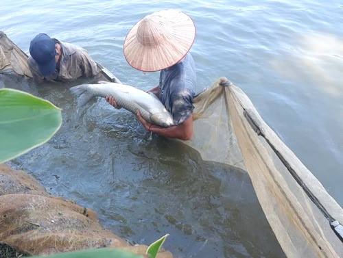 Kênh trợ vốn của nông dân