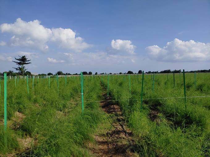 Bắc Ninh: Vốn Quỹ giúp xây dựng các mô hình kinh tế hiệu quả