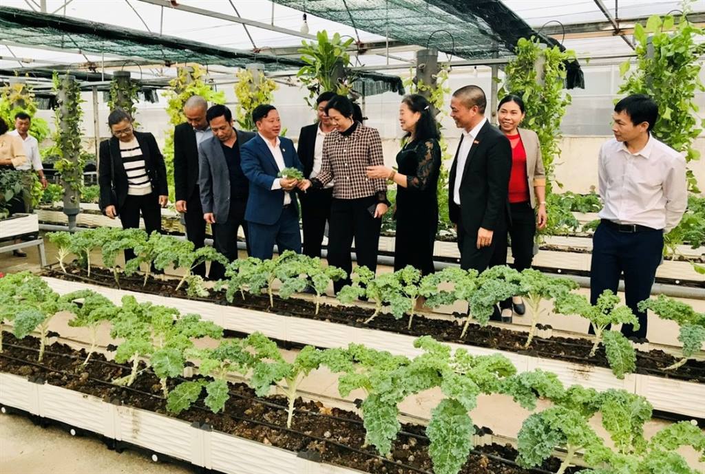 Hội ND Bắc Ninh: Trợ giúp pháp lý cho trên 6.200 hội viên, nông dân