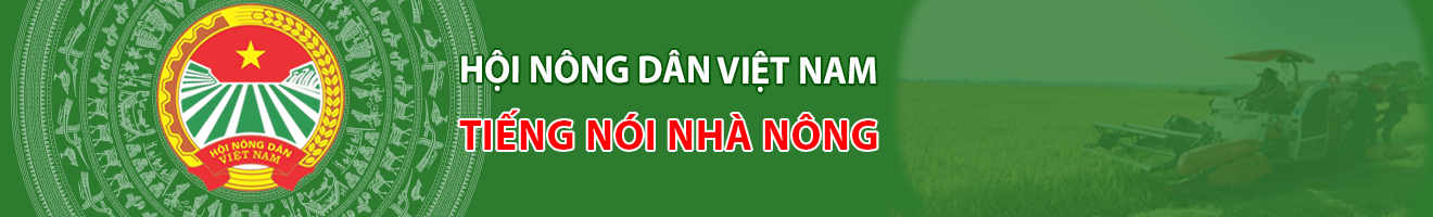 image banner